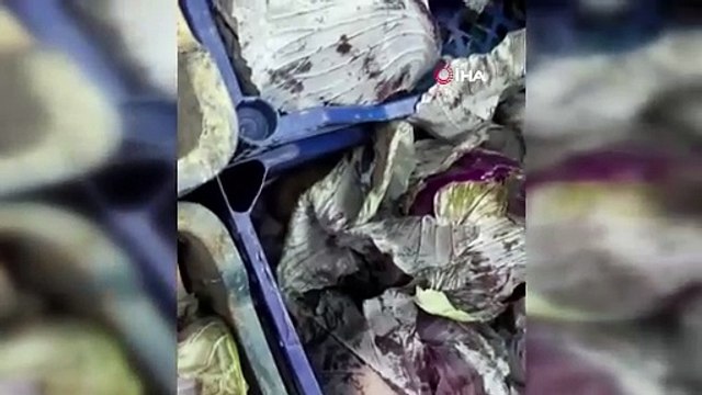 Bunun adı gıda terörü! Meyve ve sebze reyonunda fareler geziyor!