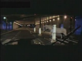 Aaron Le tunnel d'or