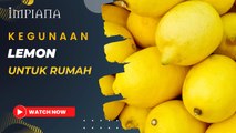 Kegunaan Lemon Untuk Rumah