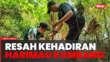 Penduduk resah kehadiran 'si kumbang'