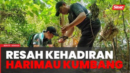 Penduduk resah kehadiran 'si kumbang'