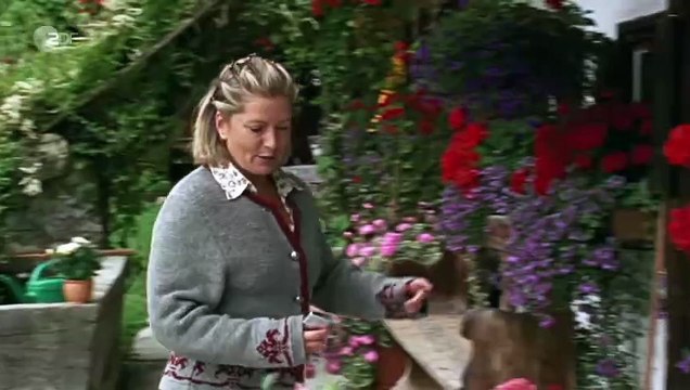 Die Rosenheim-Cops (150) Staffel 8 Folge 24 - Mord mit Seeblick