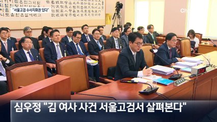 심우정 “항고 땐 수사지휘권…결과 부당하지 않아”