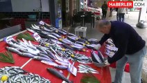 Karadeniz'de Olumsuz Hava Koşulları, Balık Fiyatlarını Yükseltti