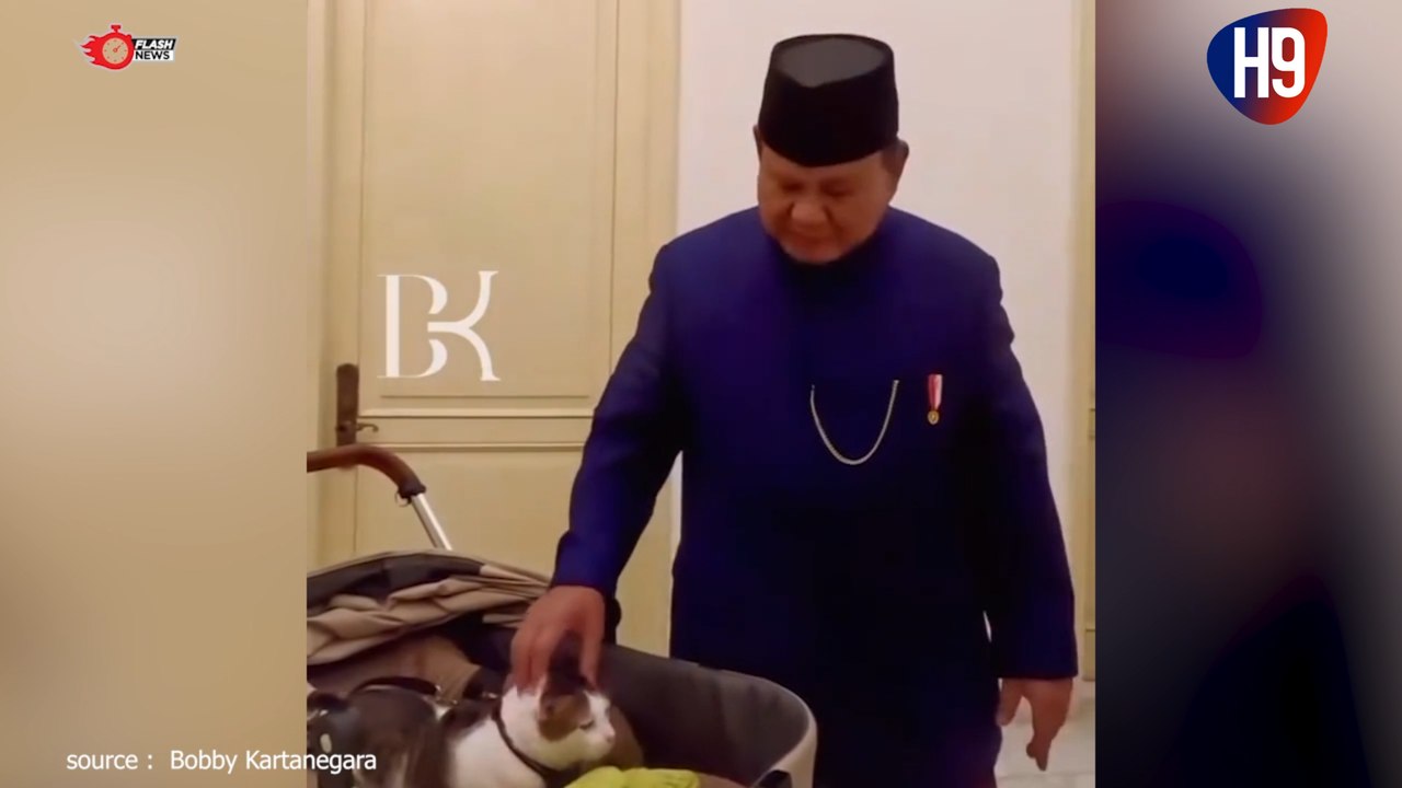 Ini Bobby, Kucing Kesayangan Prabowo dari Kertanegara menuju Istana Negara