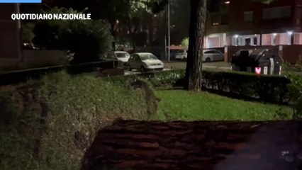 Maltempo, il crollo degli alberi