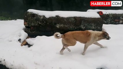 Karabük'te Kar Kalınlığı 50 Santimetreye Ulaştı