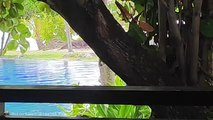 Xiaomi 13 Lite CAMERA vlog test Balesin Island adventure