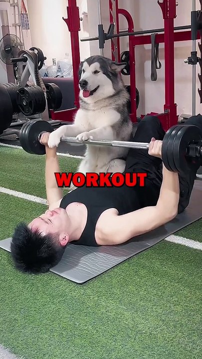DOG WORKOUT PARTNER! #animalstories #pets #doglover #dogs #cute #funny