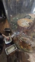 The Cute Otter Baby Has A Crooked Nose I Can't Bear To Tease it All The Time So I Quickly Pass the Fish Over Follow For More Videos Have Trending reels"...!!