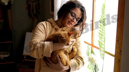 Avoid this with your cat | Feline care