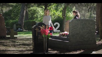 Un Soupçon - Les Dernières Nouvelles du 23 Octobre 📰