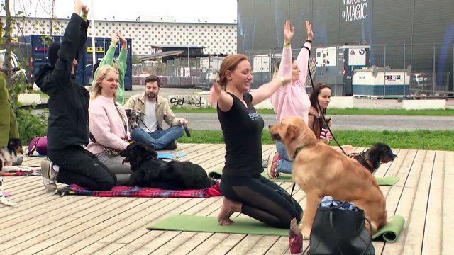 Bruxelles, al via la prima edizione di Woofstock: il festival dedicato agli amici a quattro zampe