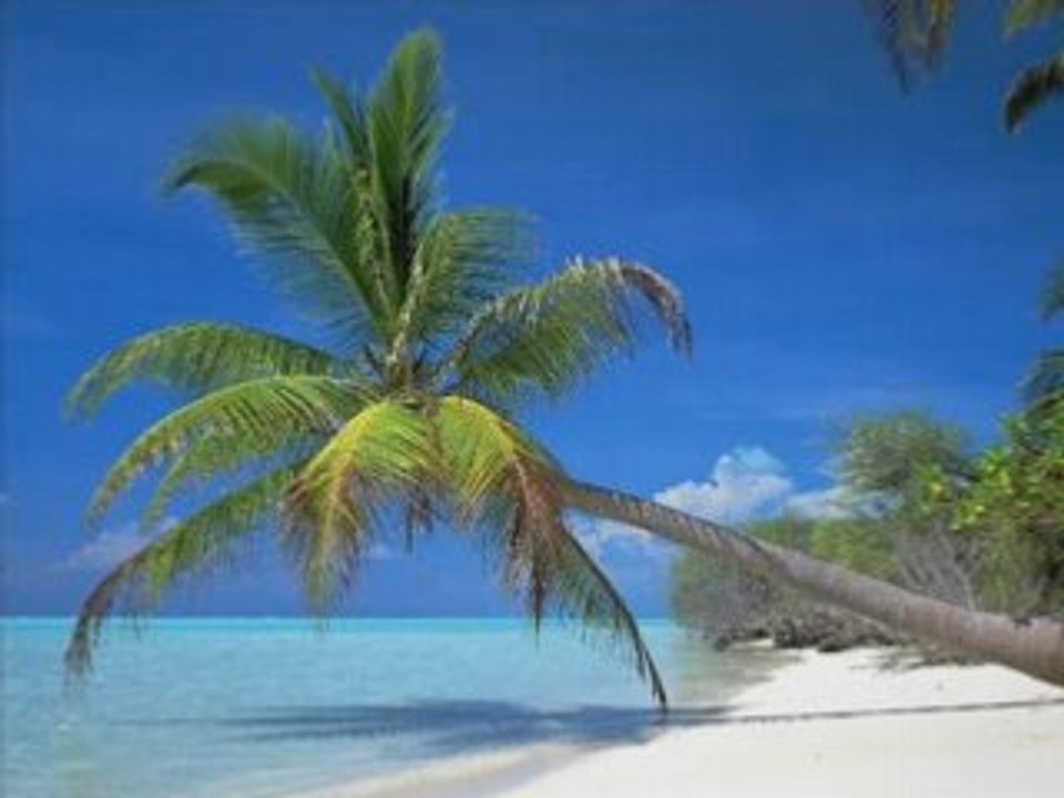 Italo pour l'eter!!!