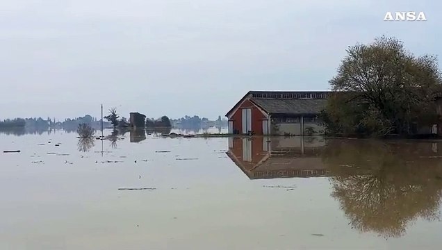 Maltempo nel Reggiano, esonda il Crostolo: allagamenti a Cadelbosco