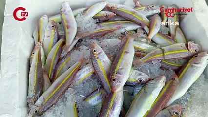 Balık satan esnaf: "Yarım balık soranlar var, bir levreği ikiye bölmek istiyorlar"