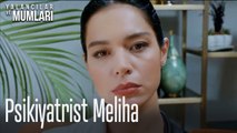 Psikiyatrist Meliha- Yalancılar ve Mumları 1. Bölüm