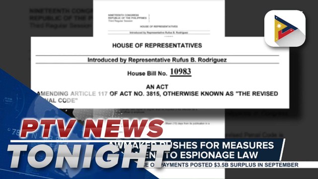 House lawmaker pushes for measures on amendment to espionage law