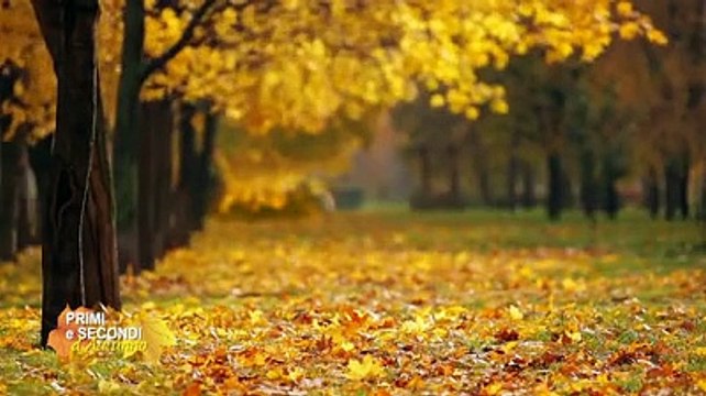 La raccolta di cucina Primi e secondi d'autunno in regalo con Il Centro