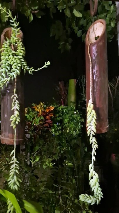 MY GARDEN
