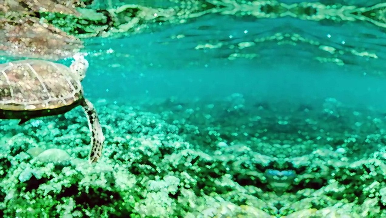 You & Me: Relaxing Piano Music & Soft Rain Sounds For Sleep & Relaxation by Peder B. Helland