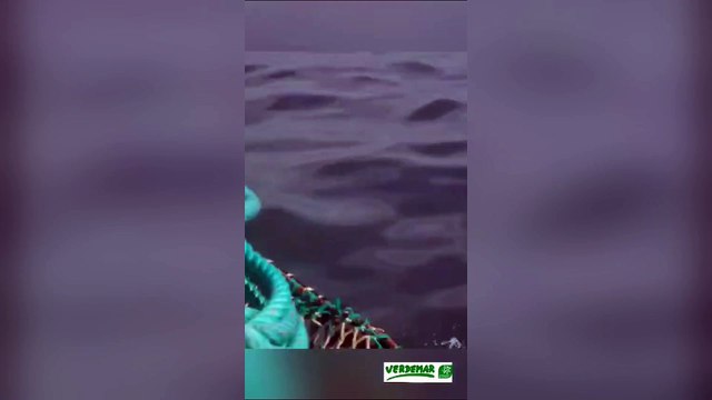 Gibraltar tensa la convivencia fronteriza ampliando el territorio y con vertidos de basura