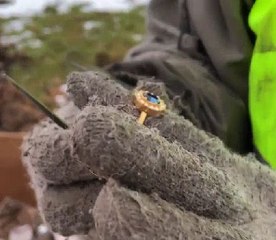 Unearthed 200-Year-Old Family Treasure Chest 🗝️