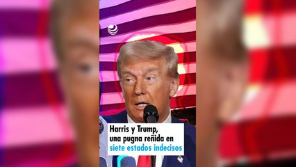 Harris y Trump, una pugna reñida en siete estados indecisos