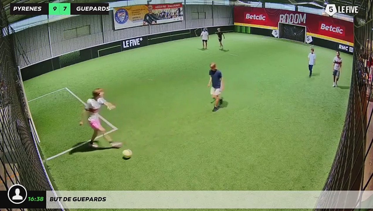 But de guepards