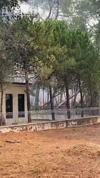 Pescara, nuovo incendio nella pineta