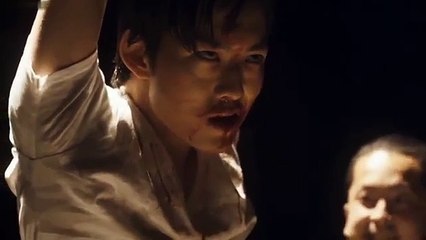 Zebra - シマウマ