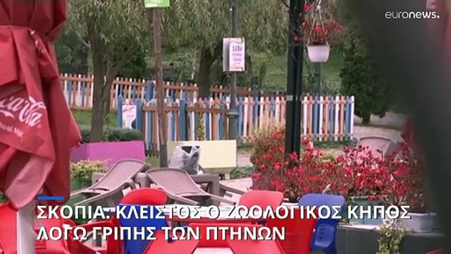 Σκόπια: «Ρολά» για τρεις εβδομάδες στον ζωολογικό κήπο λόγω γρίπης των πτηνών