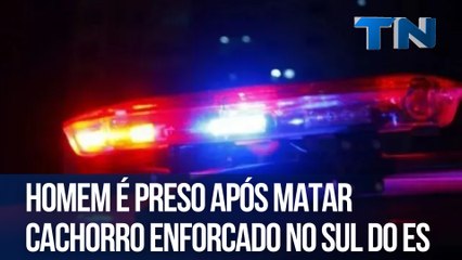 Homem é preso após matar cachorro enforcado no Sul do ES