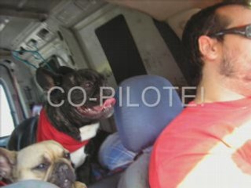 BROOK ET BALTHAZAR ARRIVEE_0001