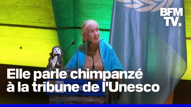 Biodiversité: Jane Goodall parle en chimpanzé à la tribune de l'Unesco avant la COP16 en Colombie