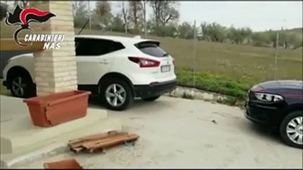 Sigilli alla "fattoria sociale": era una residenza per anziani