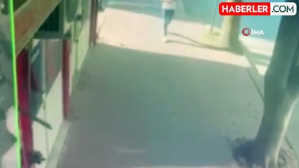 Kayıp Genç Halil İbrahim Öksüz Ormanlık Alanda Ölü Bulundu