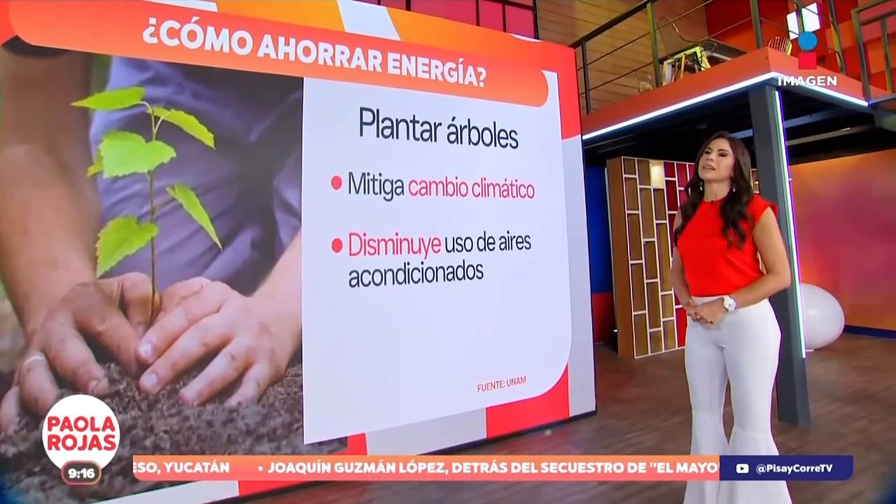 ¿Cómo ahorras energía? Mexicanos responden