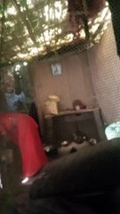 Sushil Bihari Vlog Overview