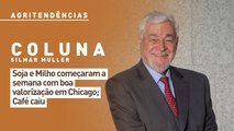 Soja e Milho começaram a semana com boa valorização em Chicago; Café caiu