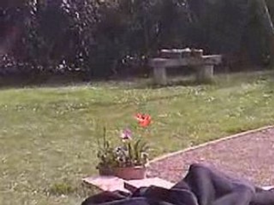 Met le ballon ou tu veux : le banc nico