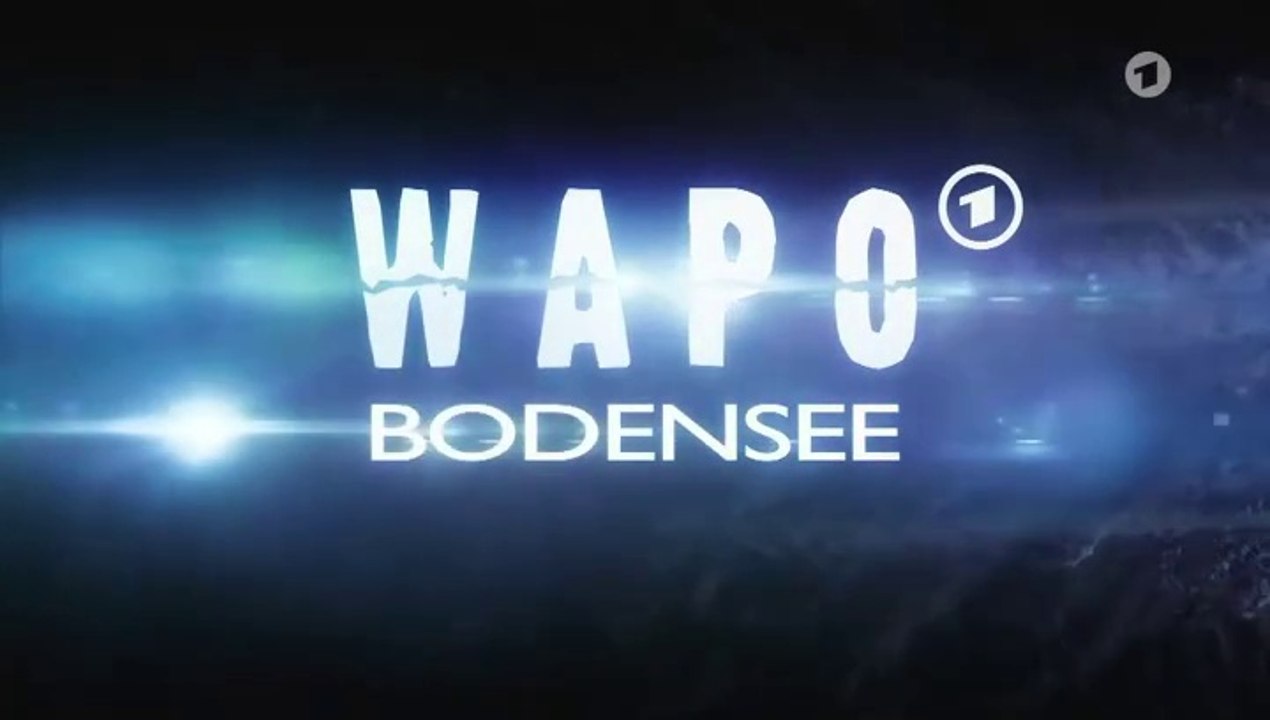 WaPo Bodensee -66- Altmetall