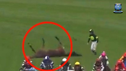  The Miracle: Heroic Jockey Saves His Horse from Death, Revealing True Character! ❤️ #HeroJockey #HorseRescue #MiracleMoment #BraveryInRacing #SportsHero #InspiringStory