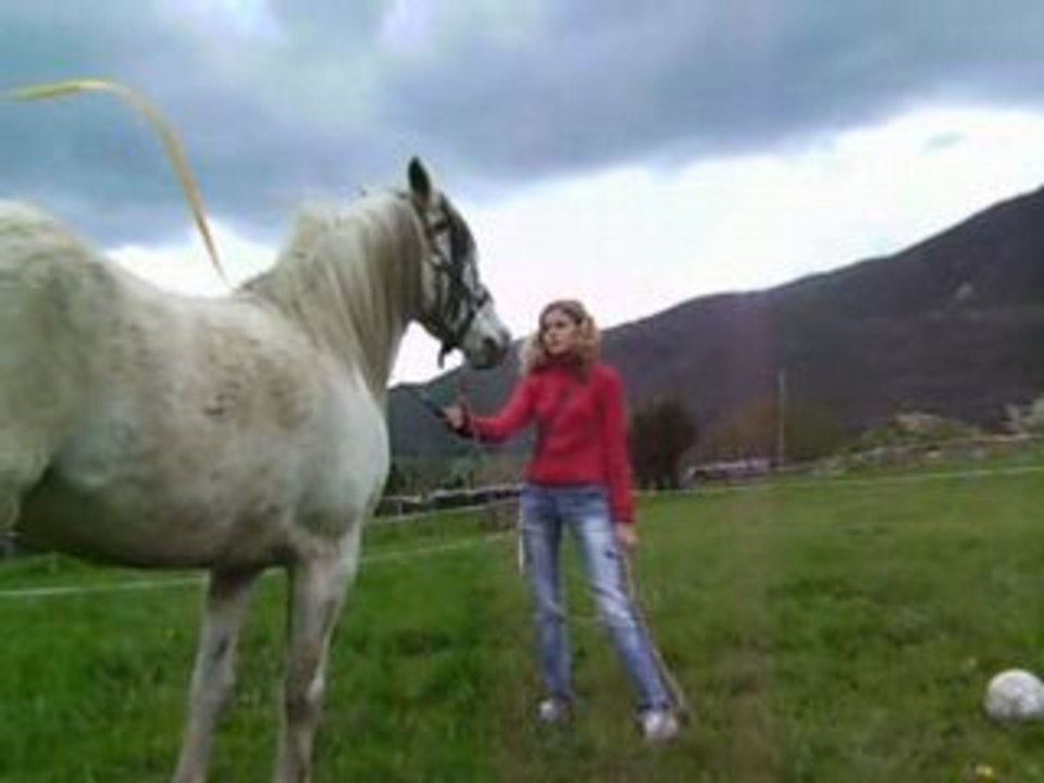 orelle au boulot