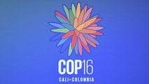 El papel que tendrán los jóvenes en la COP16