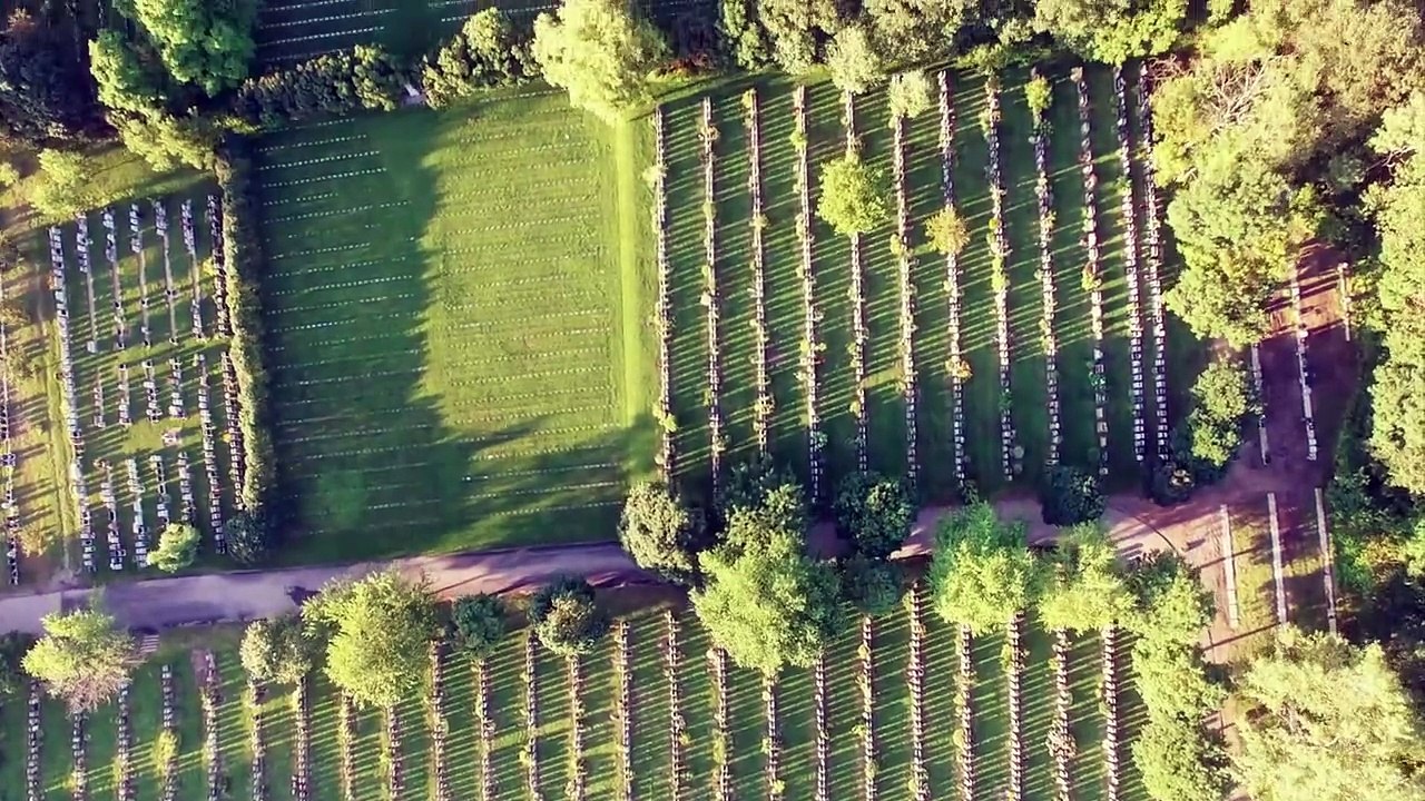 Gemini - Marcelo Gil Machado