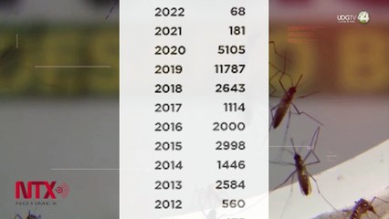 Nuevo serotipo de dengue tarda menos en llegar a México