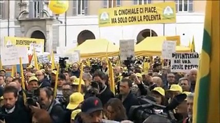 Gli allevatori a Roma: il cinghiale campa, il campo crepa