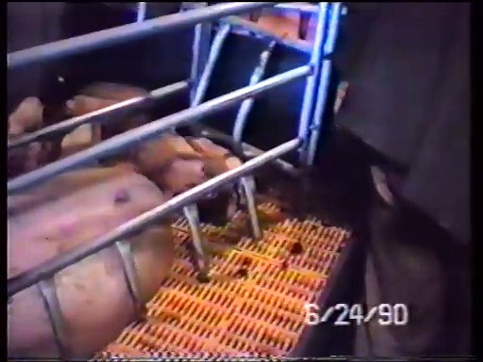 June 1990 (Part 3)