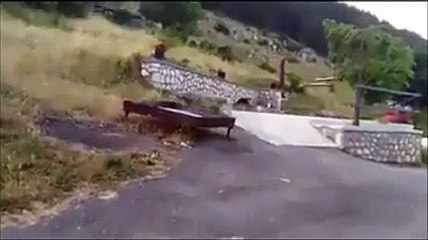 Bollori d'estate anche per l'orso